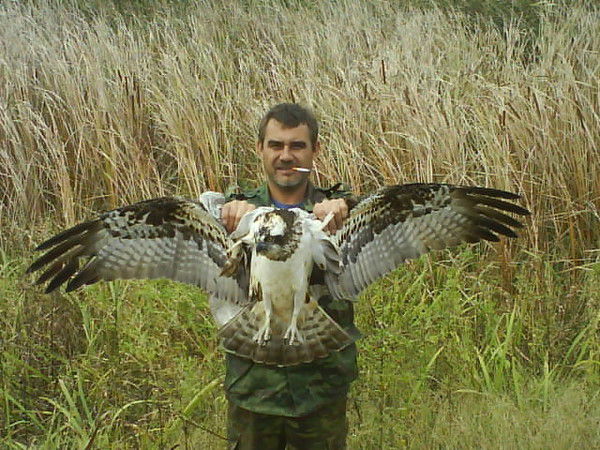 Николай Старов