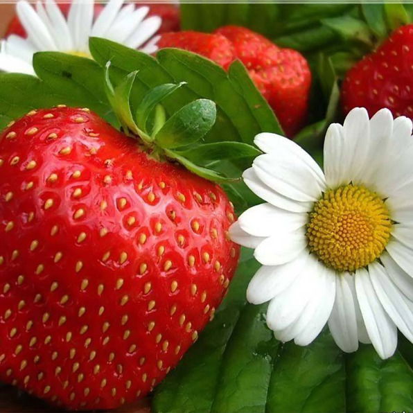 Салимова Марина