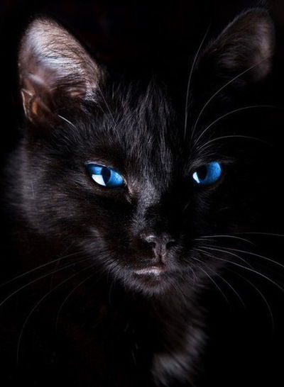 Рузиль Ситдиков