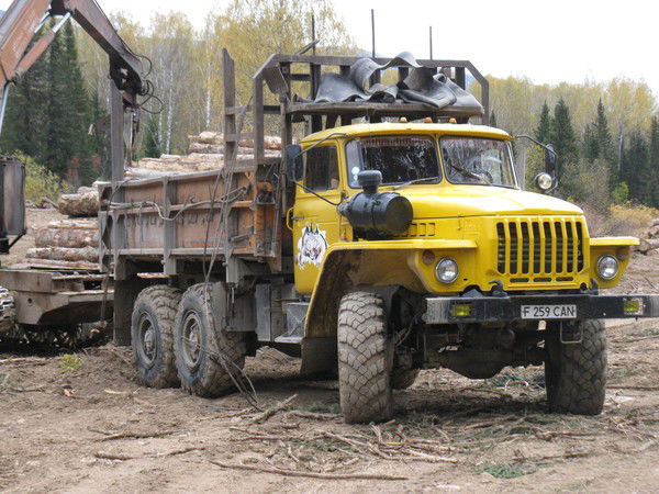 Николай Ермаков