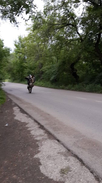 Паха Данилов