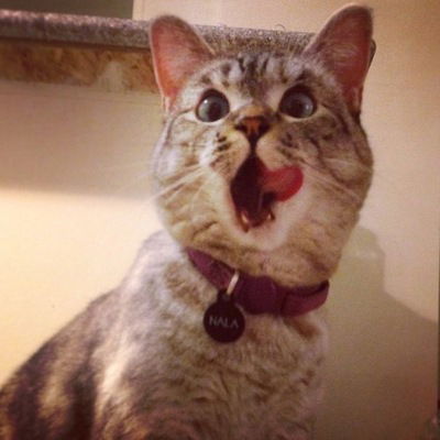 Катя Щетинина