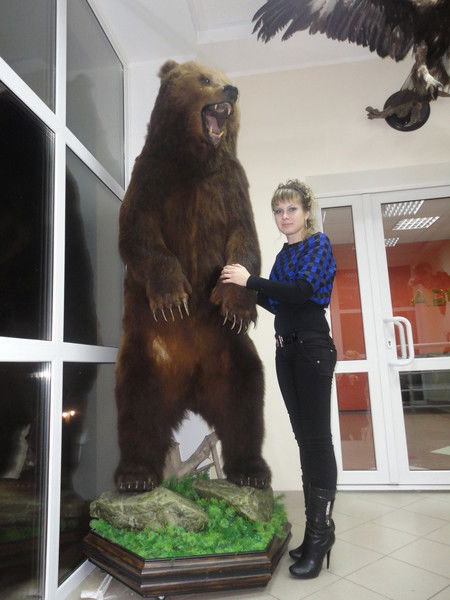 Елена Беляева