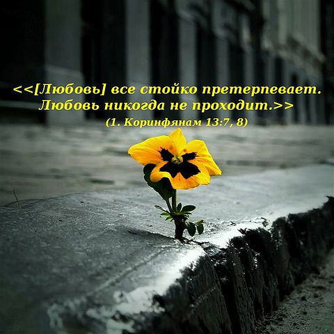 Кристи Остафий