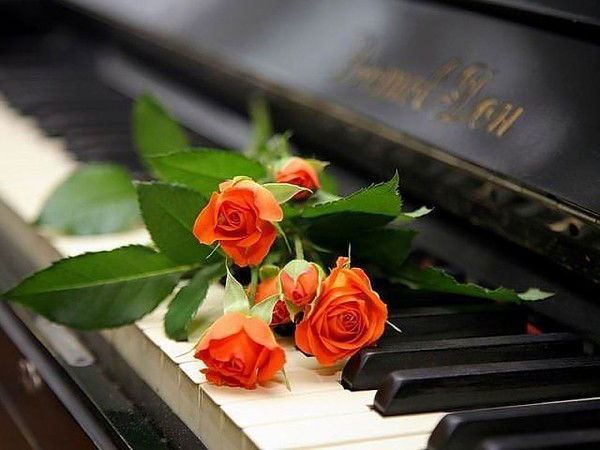 Ирина Романова