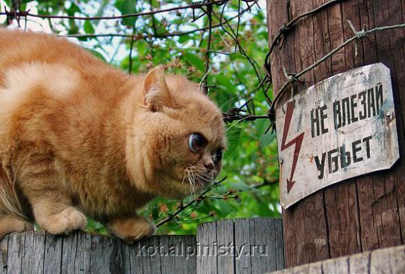 Евгений Ардашев