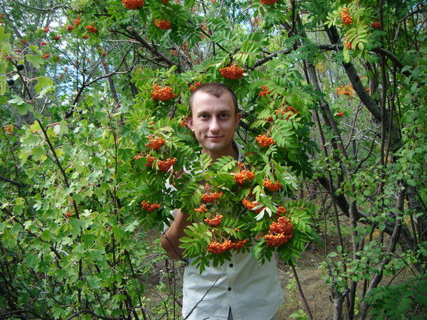 Николай Савченко