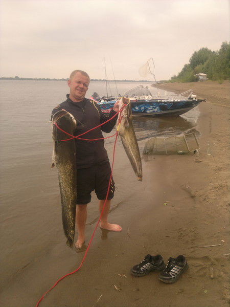 Сергей Широков