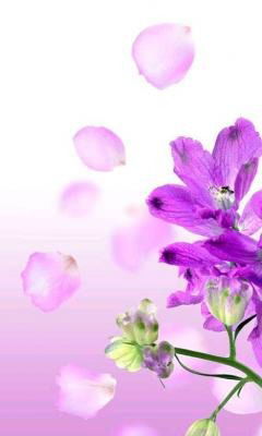 Айша Есенжанова