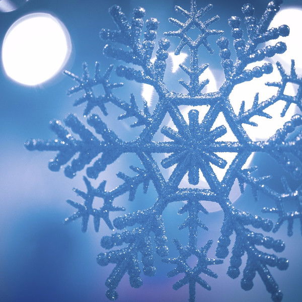 Лариса Колодкина