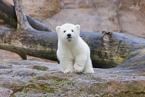 Светлана Баранюк