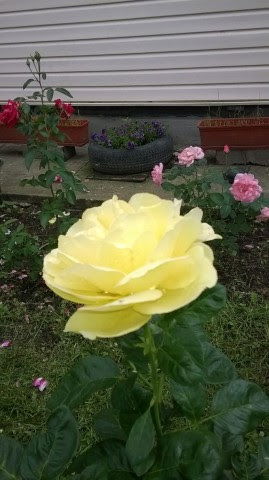 Марина Филиппова