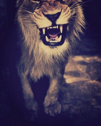 Кристина Новицкая