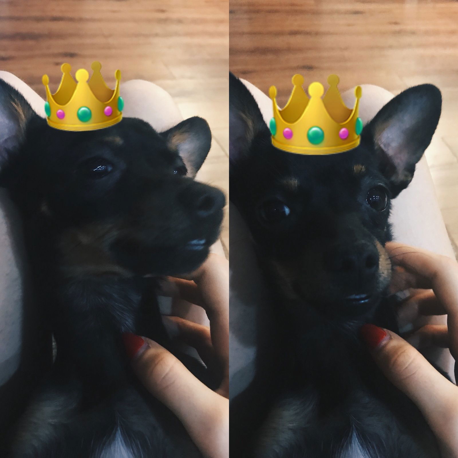 Виктория Егикян