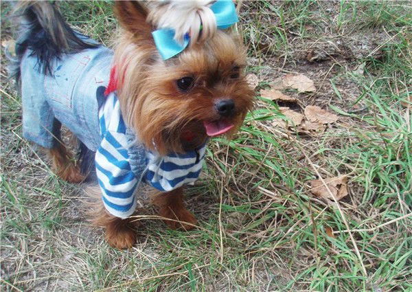 Людмила Витт (Гайворонская )