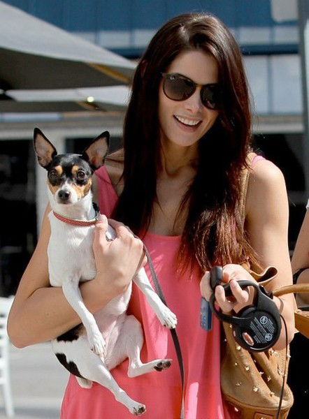 Елена Харламова