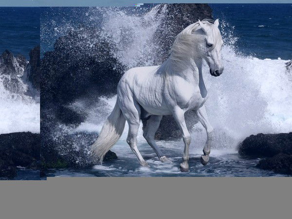 Бибигул Омарова