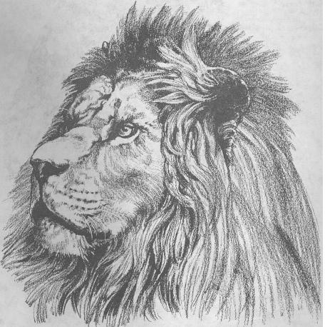 Кирилл Филиппов