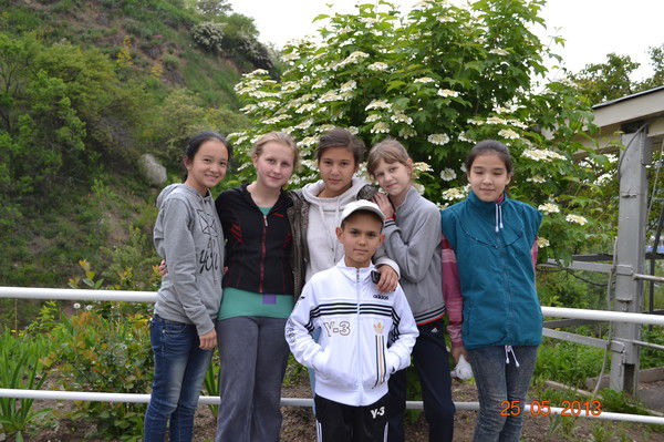 Виолетта Лазаренко