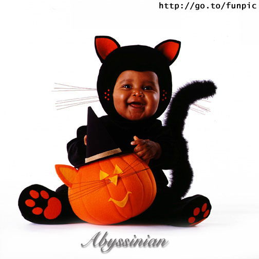 Дмитрий Кропинов