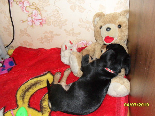 Екатерина Кашина