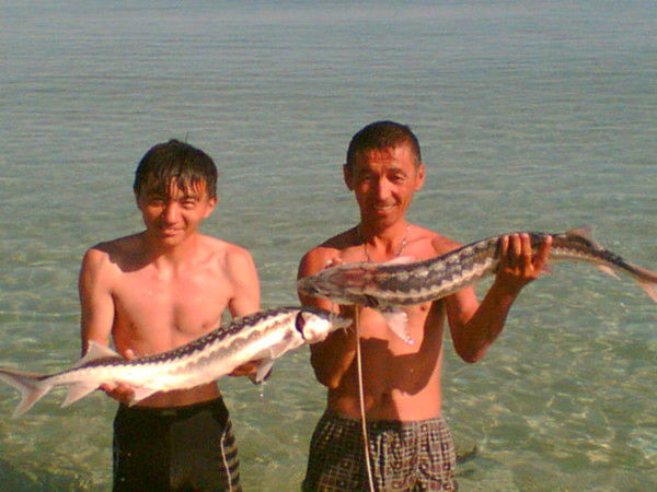 Сунгат Жаксыбаев