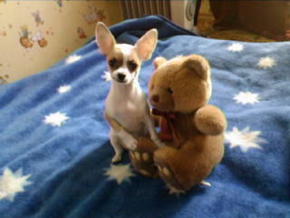 Ядвига Литвиненко