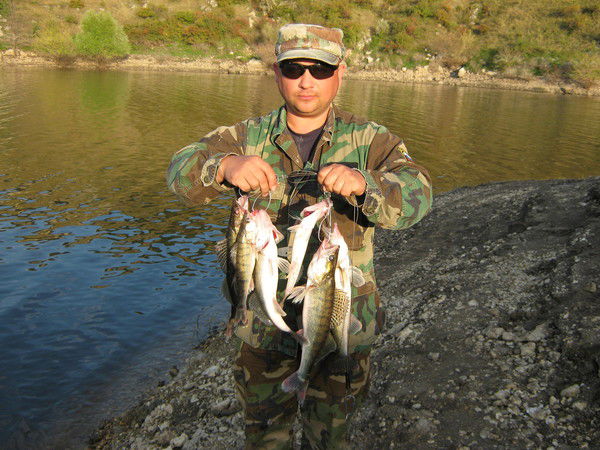 Марьян Санду