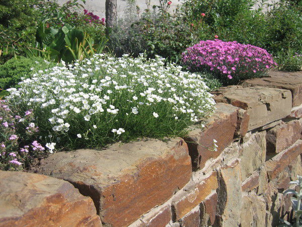 Людмила Воропаева