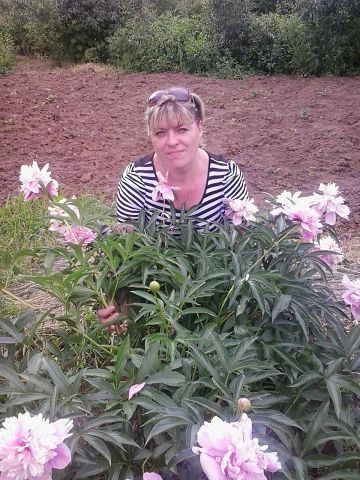 Елена Коростелёва