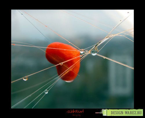 Алена Грязнова