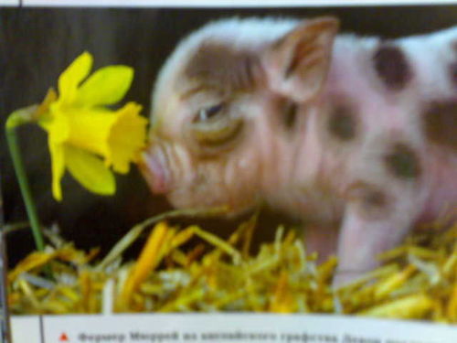 Ирина Ткачук