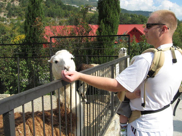 Александр Ирхин