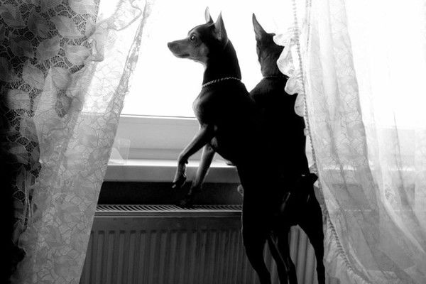 Римма Ганиева