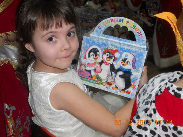 Елена Колесникова