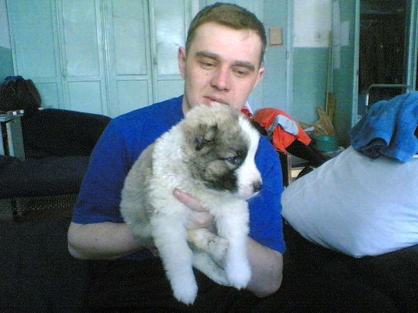 Григорий Гулый