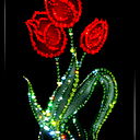 Shah Z