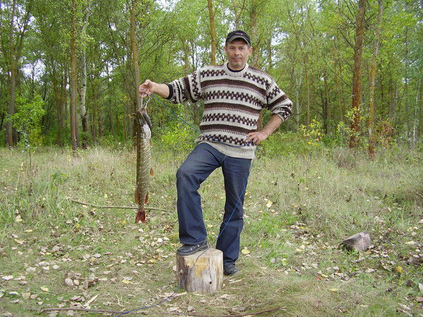 Александр Кивенко