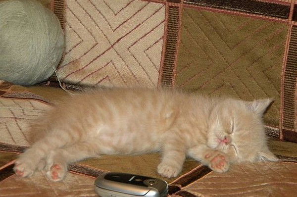 Милочка Неважно