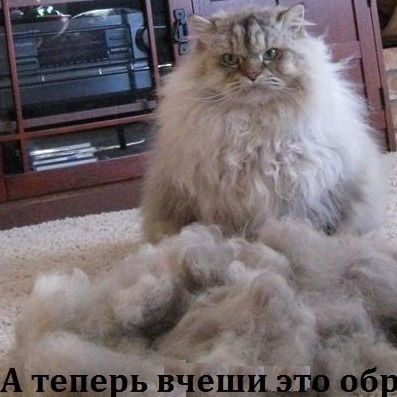 Митя Яновка