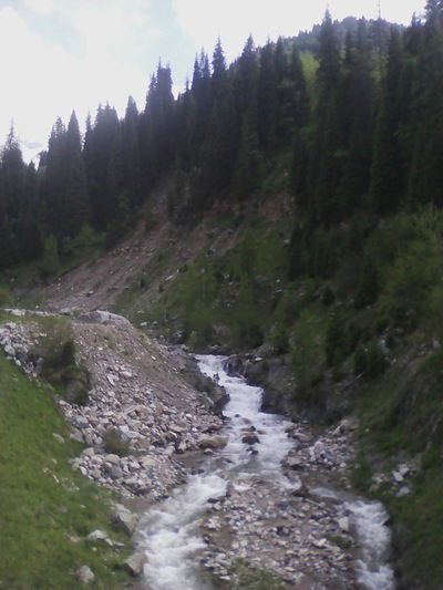 Марина Усенова