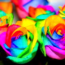 Farida *best*