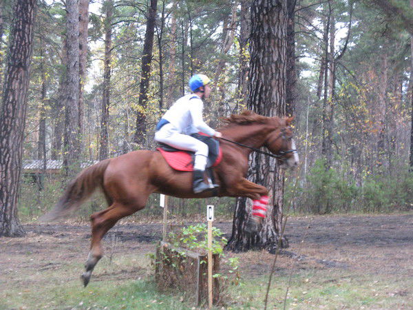 Алексей Понаморчук