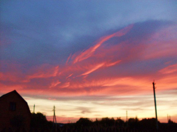 Ольга Королева