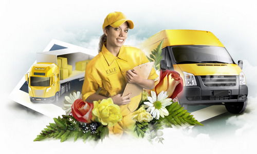 Полярная Стрела