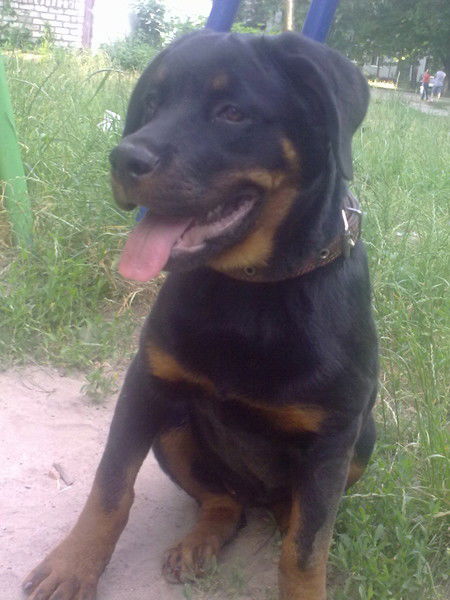 Анна Григорьева