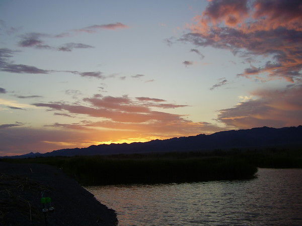 Ренат Нарбаев