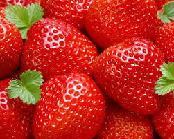 Вероника Доронина