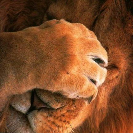 Татьяна Кохан