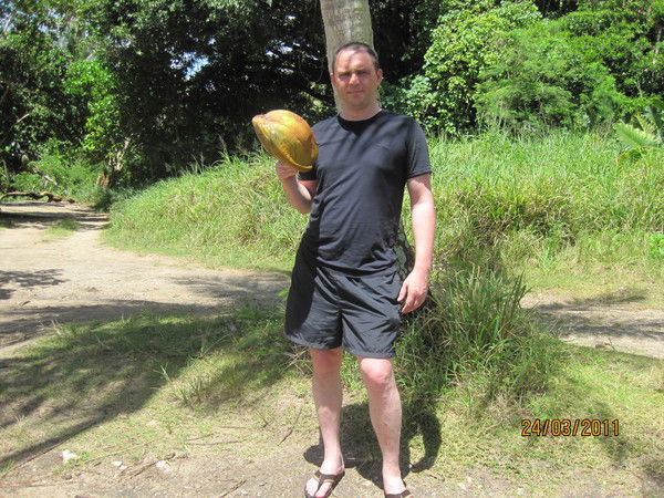 Владимир Гаель